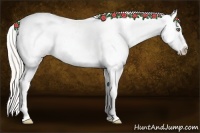 Horse Color:Silver Classic Champagne Dun Near Fewspot