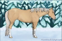 Horse Color:Silver Classic Champagne Tobiano 