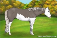 Horse Color:Silver Smoky Black Splash 