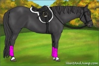Horse Color:Smoky Black