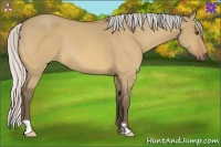 Horse Color:Silver Buckskin Dun Frame 