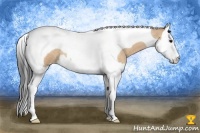 Horse Color:Bay Roan Dun Splash Tobiano 