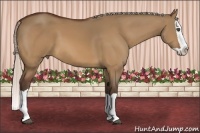 Horse Color:Silver Bay Dun Splash