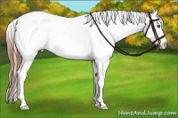 Horse Color:Bay Roan Varnish