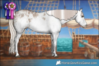 Horse Color:White Spotted Silver Grullo 