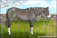 Horse Color:Grullo Splash 