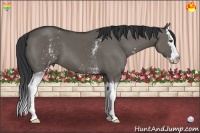 Horse Color:White Spotted Grullo Splash 
