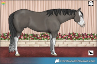 Horse Color:White Spotted Grullo Splash 