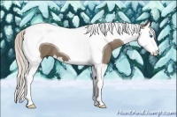Horse Color:Silver Smoky Black Splash Tobiano 