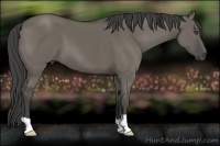 Horse Color:Smoky Grullo 