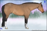 Horse Color:Bay Dun