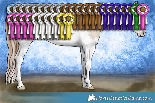 Horse Color:Sable Champagne Dun Splash Tobiano Near Leopard 