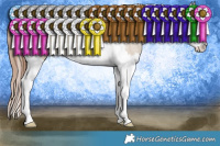 Horse Color:Sable Champagne Dun Splash Tobiano Appaloosa