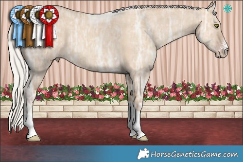 Horse Color:Silver Classic Champagne Ice Dun Sabino Tobiano  Brindle
