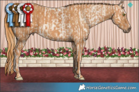 Horse Color:Silver Classic Champagne Ice Dun Sabino Tobiano Brindle