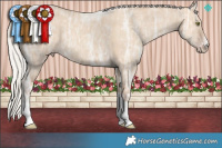 Horse Color:Silver Classic Champagne Ice Dun Sabino Tobiano  Brindle