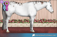 Horse Color:White Spotted Bay 