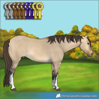 Horse Color:White Spotted Buckskin Dun 