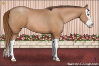 Horse Color:Bay Pearl Splash 