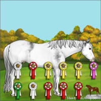 Horse Color:White Spotted Black Splash 