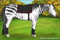 Horse Color:White Spotted Black