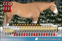 Horse Color:Gray Perlino Splash 