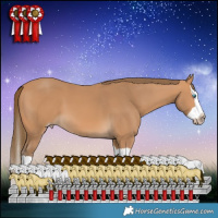 Horse Color:Gray Perlino Splash