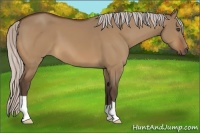 Horse Color:Silver Bay Dun 
