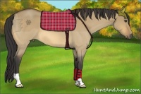 Horse Color:Buckskin Roan Dun 