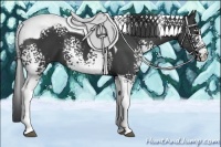 Horse Color:White Spotted Black Tobiano 