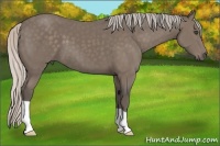 Horse Color:Silver Black 