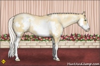 Horse Color:White Spotted Silver Classic Champagne Pearl Dun Splash Frame