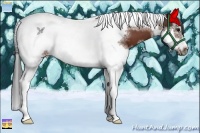 Horse Color:Bay Sabino Splash Tobiano Frame 