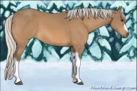 Horse Color:Silver Buckskin Tobiano Frame