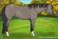 Horse Color:Smoky Grullo