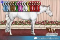Horse Color:White Spotted Silver Black Sabino