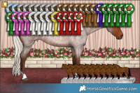 Horse Color:Silver Bay Roan Tobiano 
