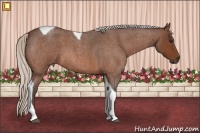 Horse Color:Silver Bay Roan Tobiano 