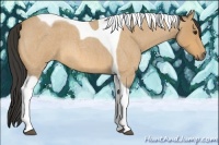 Horse Color:Buckskin Roan Tobiano 