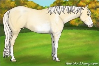 Horse Color:Silver Classic Champagne Pearl Dun Sabino