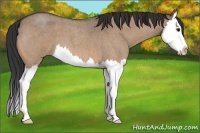 Horse Color:Bay Roan Dun Splash 