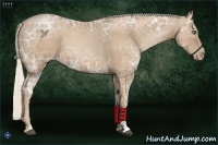 Horse Color:Silver Black Ice Pearl 