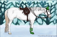 Horse Color:Black Pearl Sabino Tobiano Appaloosa 