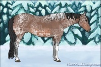 Horse Color:Bay Ice Tobiano