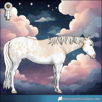 Horse Color:White Spotted Silver Classic Champagne Dun Splash Blanket Rabicano