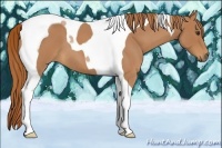 Horse Color:Red Roan Tobiano 