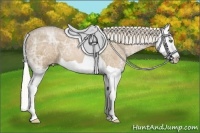 Horse Color:Silver Black Ice Pearl Splash 