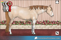 Horse Color:White Spotted Bay Pearl Dun 