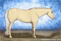 Horse Color:Silver Classic Cream Champagne Dun