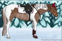 Horse Color:Chestnut Tobiano Rabicano 